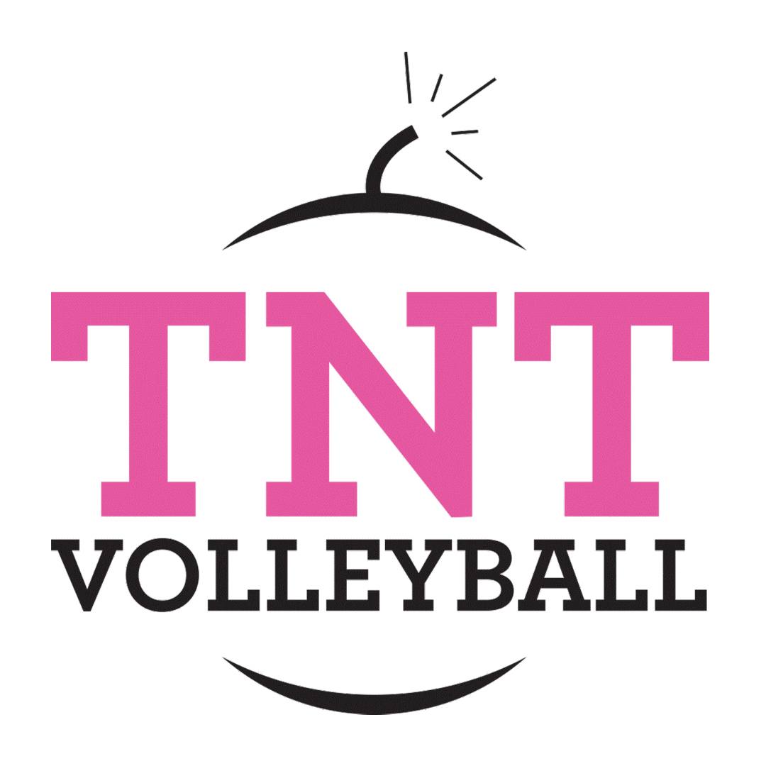 TNT logo 2500x2500 300dpi (2)